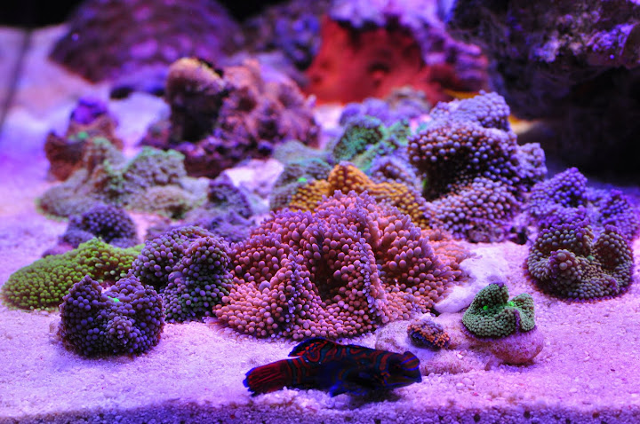 DSC_3147.JPG