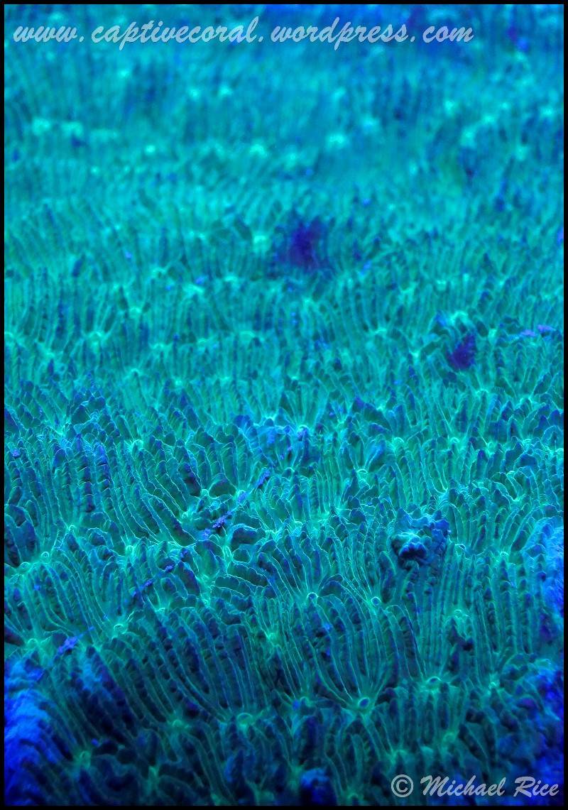 f4555931ec55660c55b5767ce8c08f5b.jpg