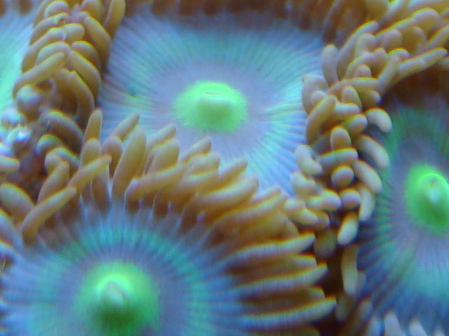 4160755703_5b694f7836_o.jpg