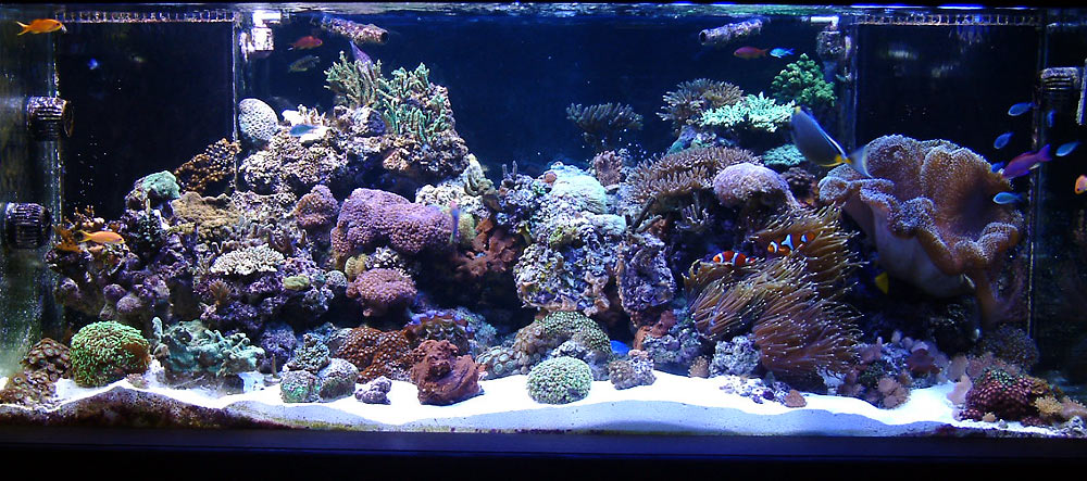 fts_091107.jpg