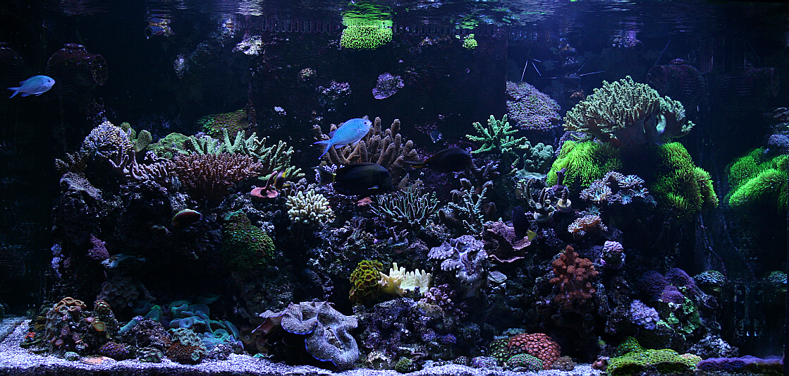 fts 08072010.JPG