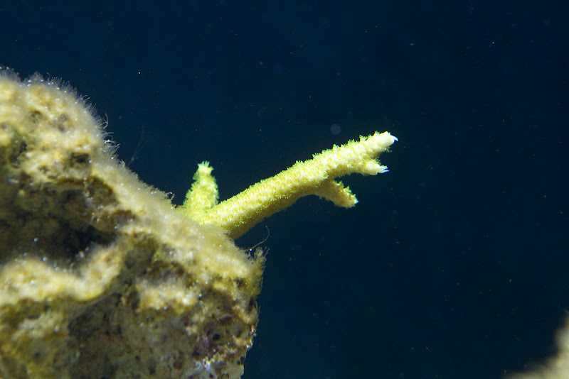 270-aquarium-6138.jpg