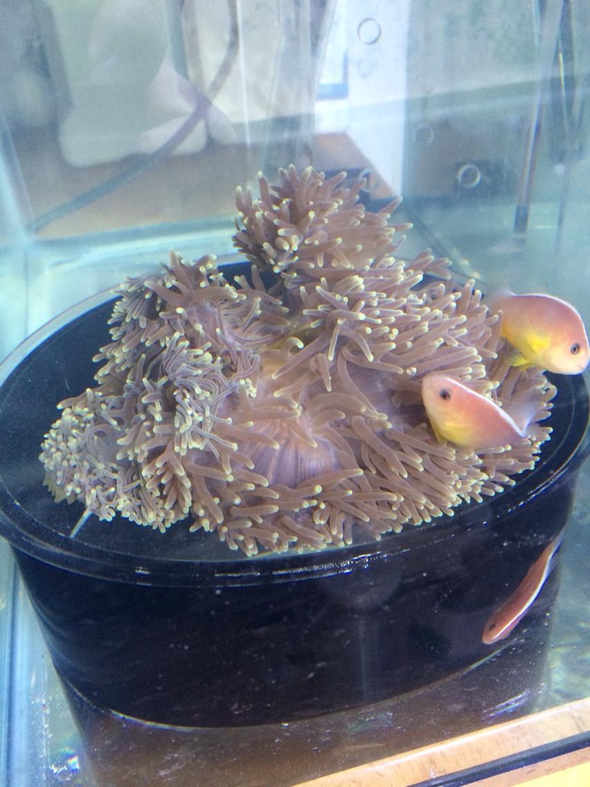 Byvgb6TIcAElofO.jpg:large