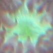 closeup2.JPG