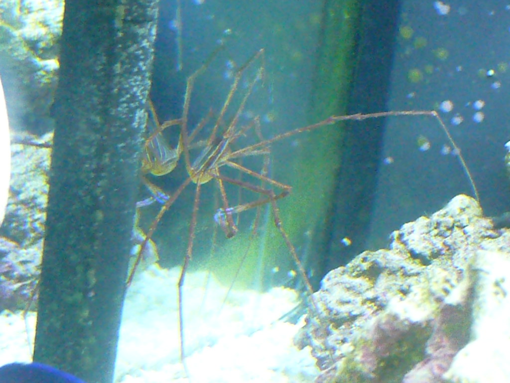 4388070885_768b8a42f6_b.jpg