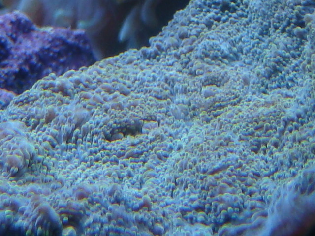 4120381795_175ddd0ff4_o.jpg