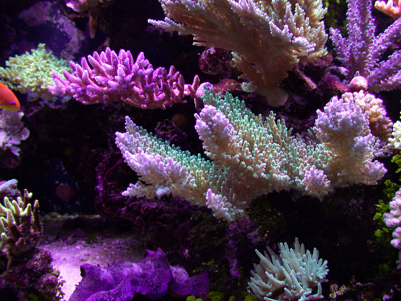 DSCN0865.jpg