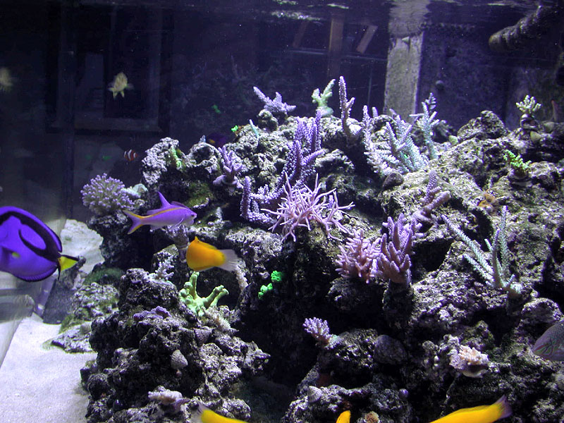 DSCN3474.jpg
