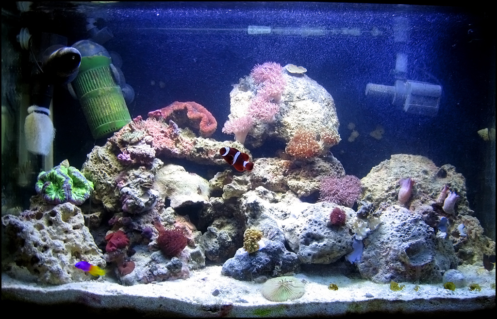 tank-07-20-06.jpg
