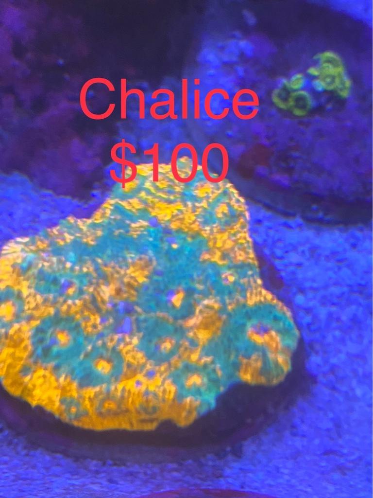 1b94ac1e2a86ecf6896e94a6976ea537.jpg