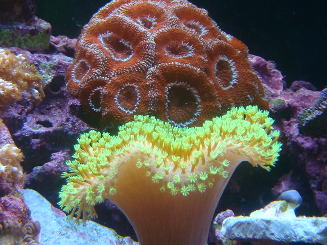 4160752699_bb0262cf7d_o.jpg