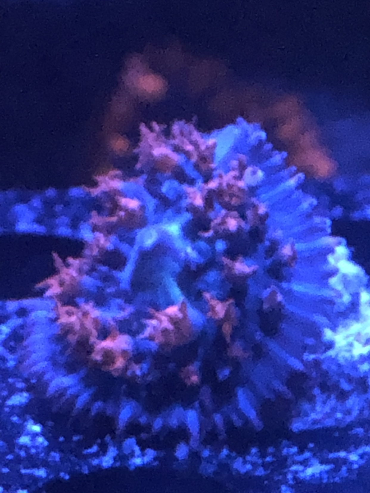 9f835e1045207127a57e3317646494ec.jpg