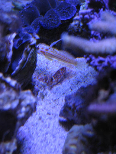 IMG_3550.JPG