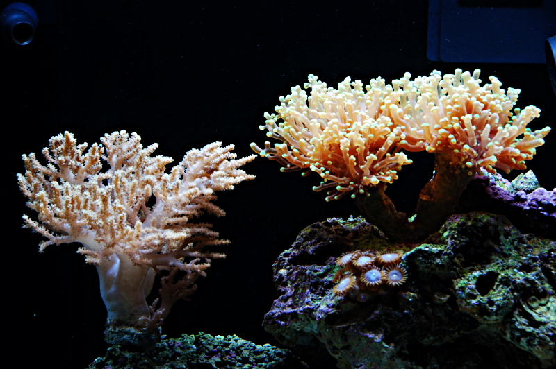 DSC_8287-PP.JPG