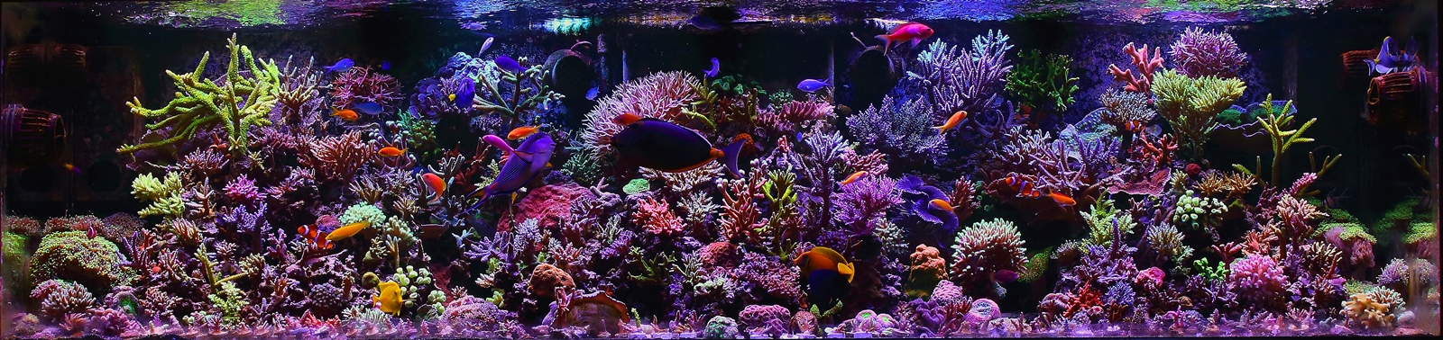 April2013FTSsm.jpg