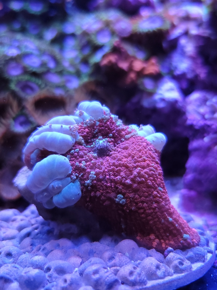 aafb770e17aae6d2dd4baab108dde6f2.jpg
