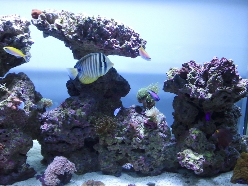 2011-02-20%2020.59.58.jpg