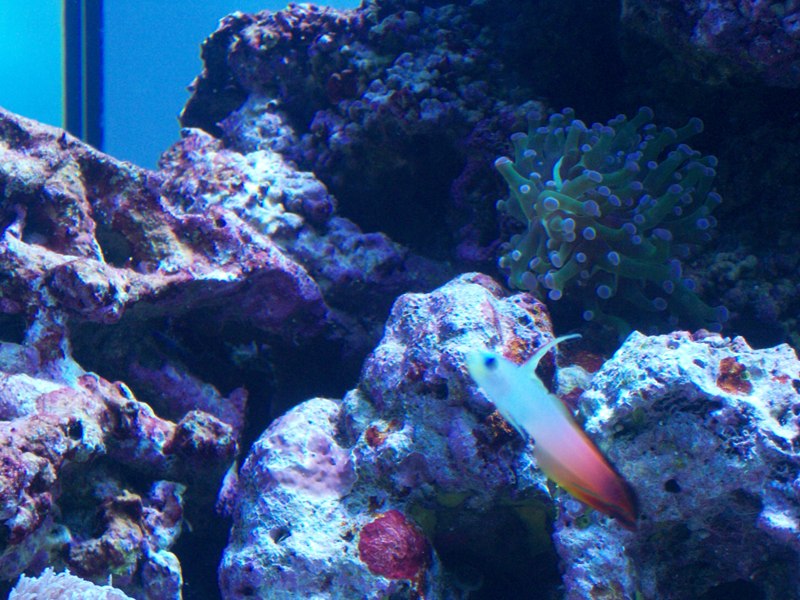 100_9716.jpg