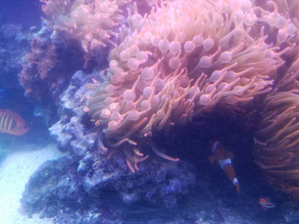 1e7ce6217ce2bc88054e03cb6e35e645.jpg