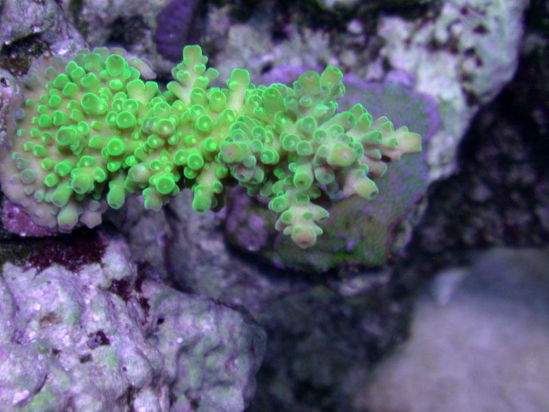 DSCN3523.jpg