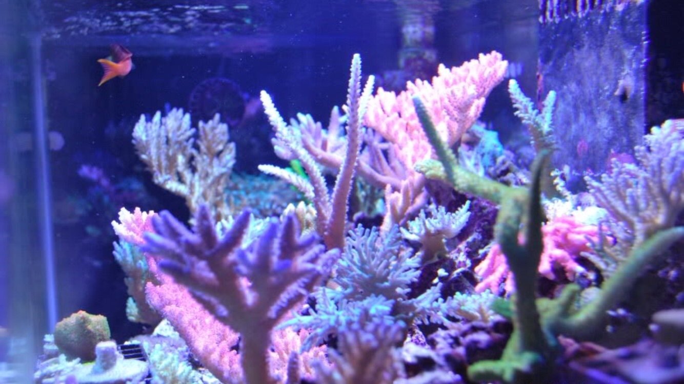 f20096bcb8a2947d3c73cfc0686d4e77.png