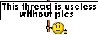 ca5236e4-d670-4dc0-b020-9d06ea12b239-gif.412611