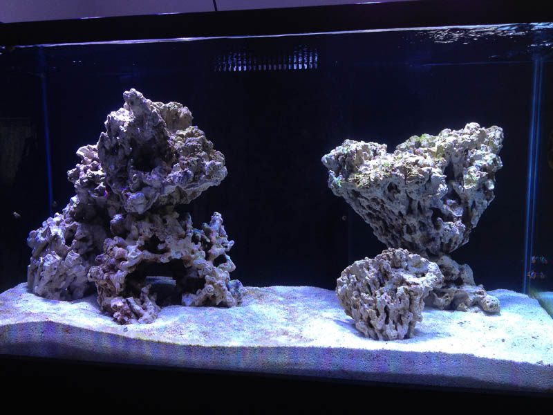 Reef_050714_085.jpg