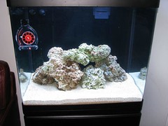 2632999836_9cb8932b37_m.jpg