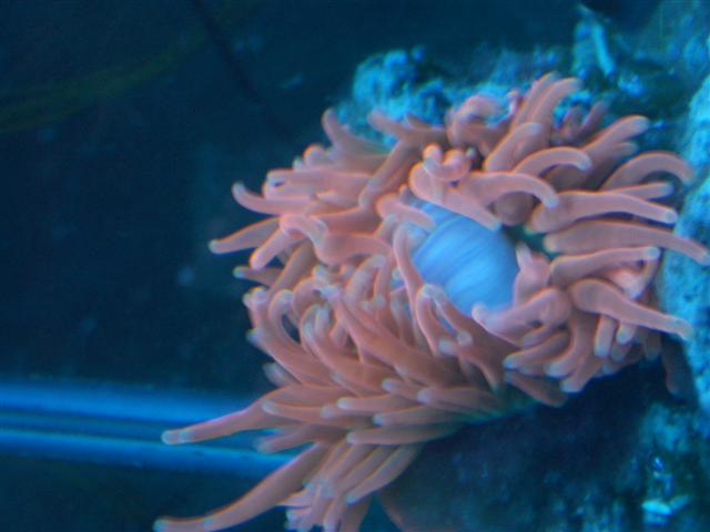 IMGP1162 (small).jpg