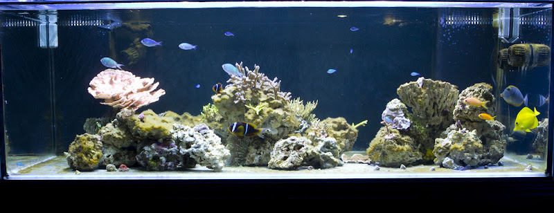 270-aquarium-6087.jpg