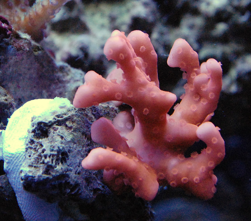 DSC_8710.JPG