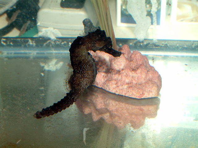 casper_0416.jpg
