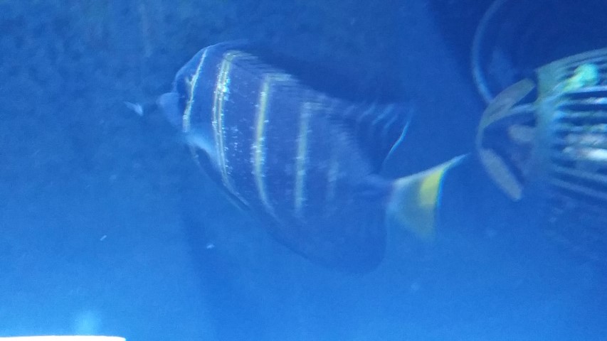 20171218_083952.jpg