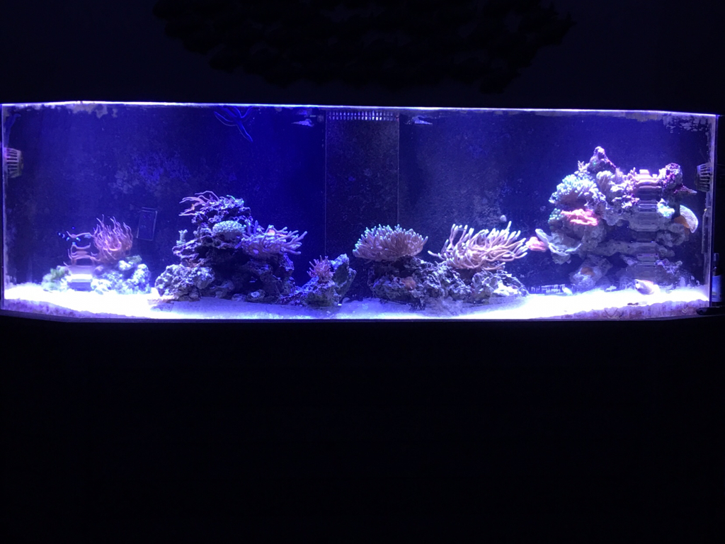 65bc98fbd028e237912cc865e018a4f6.jpg
