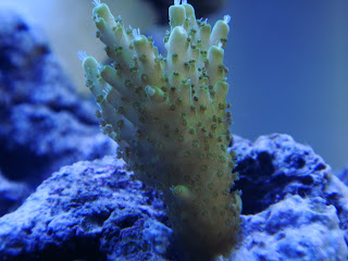 DSC03333.JPG