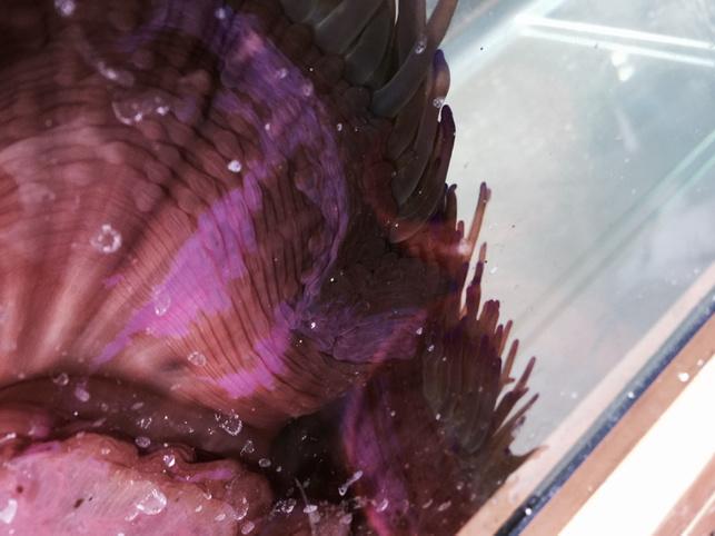 B5BNnYdIgAADGJc.jpg:large