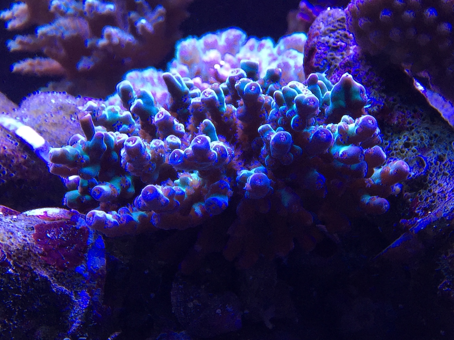 fd5c27d655e42187bd86bce8dd69948d.jpg