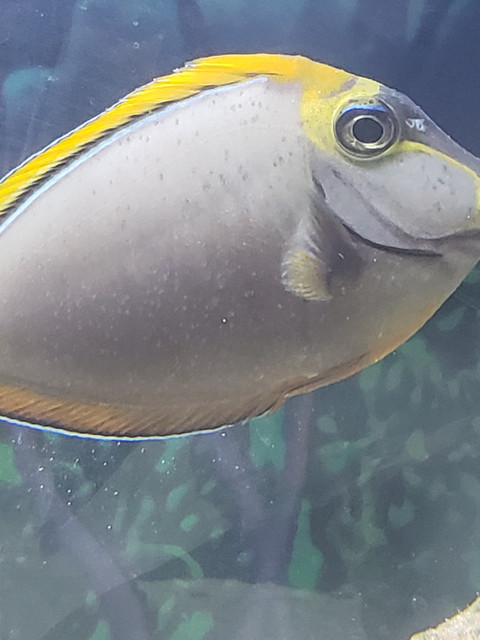20190401-112216.jpg