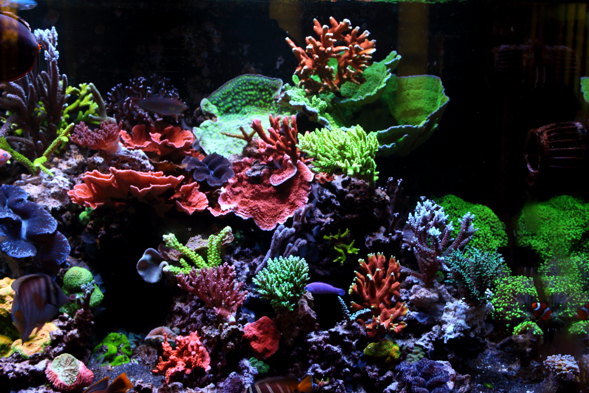 Sept20130015.JPG