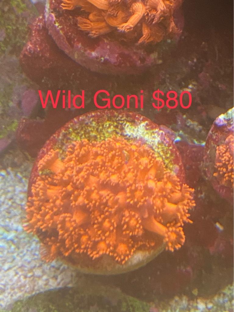 a3c5bb977acebeb9867df44e82200e85.jpg