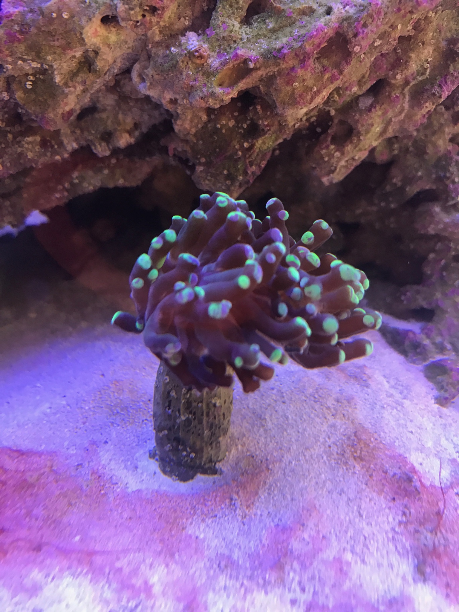 d5dec8fc30b0488663abd686c4bbc1e4.jpg