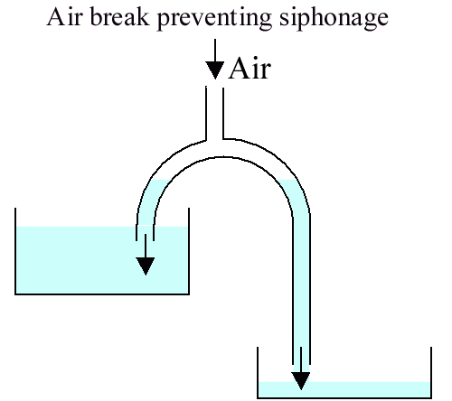cout06.gif
