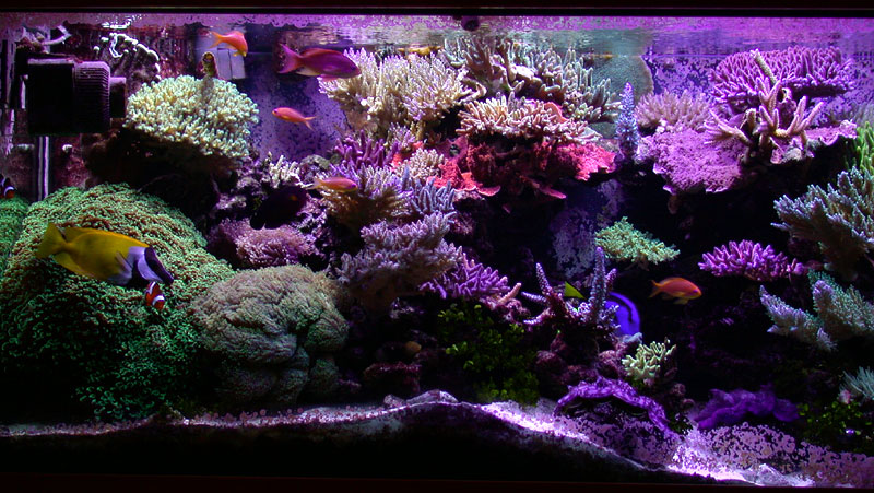 DSCN0877.jpg