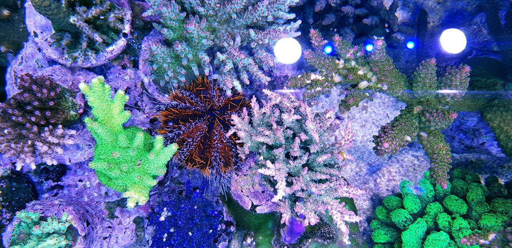 5f2b6c5e77610fc3507c88b13b3460d9.jpg