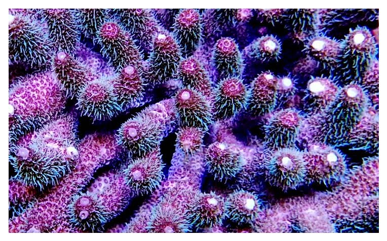 pfJyhTigYREeR6-MzUCHVS_1qdfixmgLnT45DskgrVU=w983-h553-no