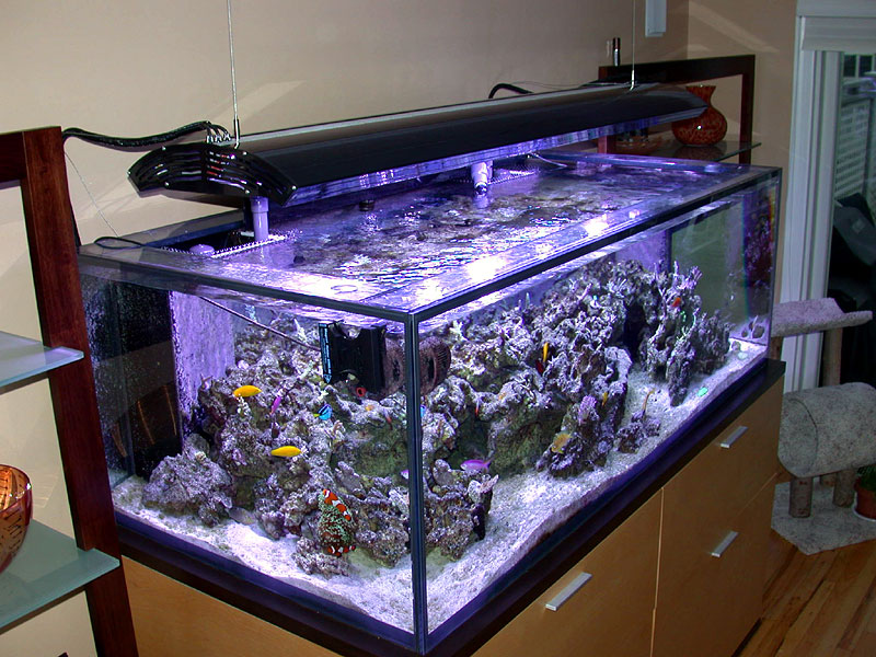 DSCN3115.jpg
