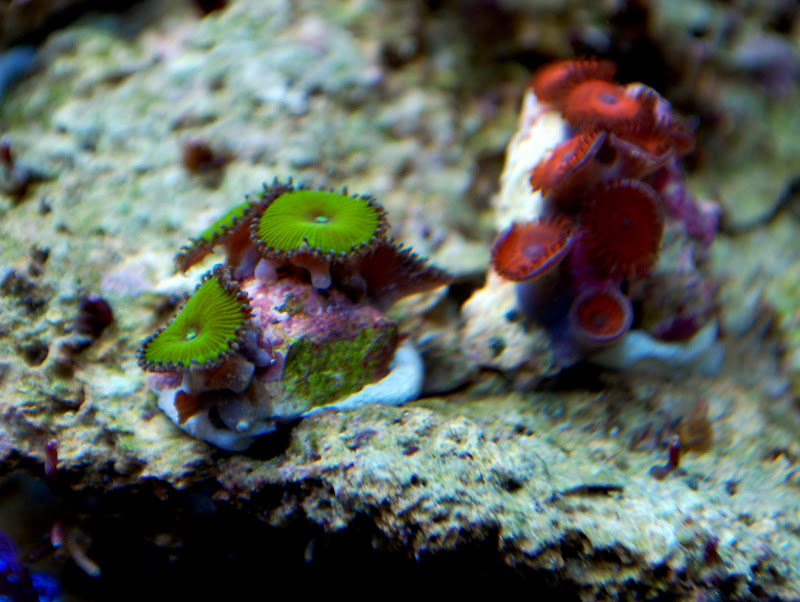 DSC_6959.JPG