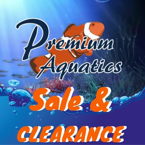 Sale & Clearance Items