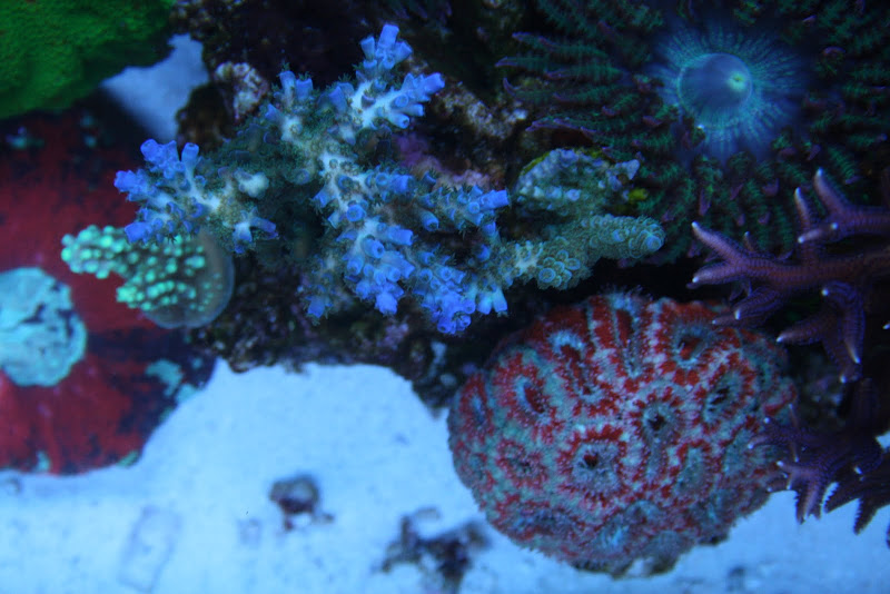 IMG_6173.JPG