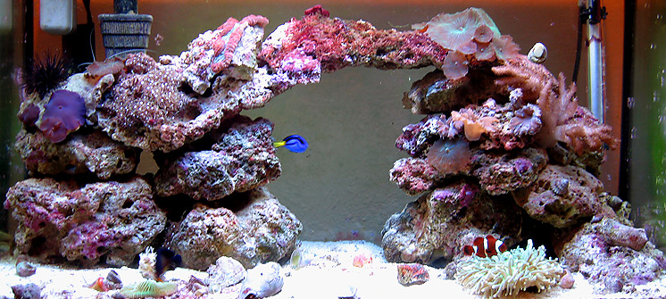 tank-02-04-06.jpg